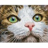 Diamond Dotz - Katze mit grünen Augen