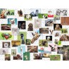 Ravensburger Puzzle - Funny Animals Collage