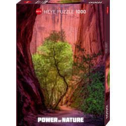 HEYE - Power of Nature, Singing Canyon
