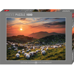 HEYE - Edition A. von Humboldt, Sheep and Volcanoes